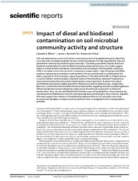 Impact of Diesel and Biodiesel Contamination on Soil Microbial Community Activity and Structure Eduardo K