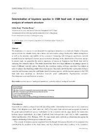 Determination of Keystone Species in CSM Food Web: a Topological Analysis of Network Structure
