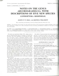 Notes on the Genus Argyrogrammana, with Descriptions of Five New Species (Lepidoptera: Riodinidae)