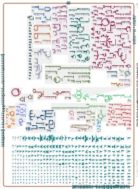 Generate Metabolic Map Poster