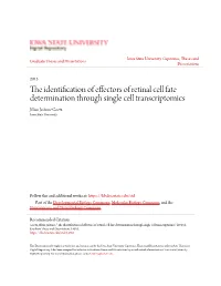 The Identification of Effectors of Retinal Cell Fate Determination Through Single Cell Transcriptomics Jillian Joanne Goetz Iowa State University