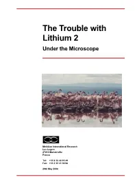 Lithium 2 Under the Microscope