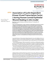 Association of Cyclin Dependent Kinase 10 and Transcription Factor