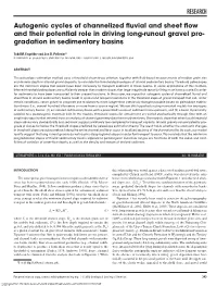 Autogenic Cycles of Channelized Fluvial and Sheet Flow and Their