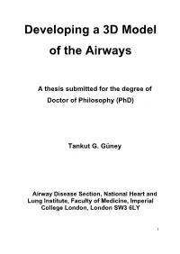 Developing a 3D Model of the Airways