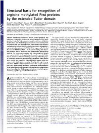 Structural Basis for Recognition of Arginine Methylated Piwi Proteins by the Extended Tudor Domain