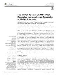 The TRPV4 Agonist GSK1016790A Regulates the Membrane Expression of TRPV4 Channels