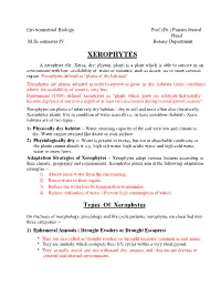 Punam Jaiswal PG-IV XEROPHYTES(Morphology).Pdf