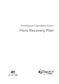 Threatened Tasmanian Ferns