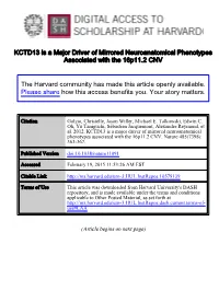 KCTD13 Is a Major Driver of Mirrored Neuroanatomical Phenotypes Associated with the 16P11.2 CNV