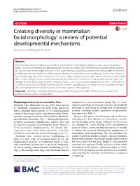 VIEW Open Access Creating Diversity in Mammalian Facial Morphology: a Review of Potential Developmental Mechanisms Kaoru Usui and Masayoshi Tokita*
