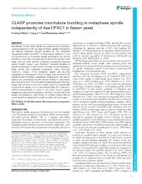 CLASP Promotes Microtubule Bundling in Metaphase Spindle Independently of Ase1/PRC1 in Fission Yeast Hirohisa Ebina1, Liang Ji1,2 and Masamitsu Sato1,2,3,4,*