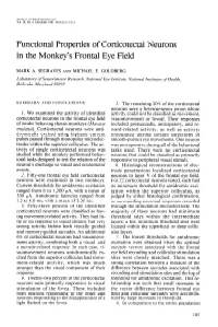 Functional Properties of Corticotectal Neurons in the Monkey's Frontal