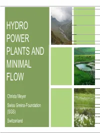 Hydro Power Plants and Minimal Flow