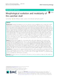 Morphological Evolution and Modularity of the Caecilian Skull Carla Bardua1,2* , Mark Wilkinson1, David J