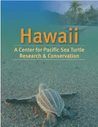 Turtle-Excellence FI