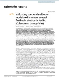 Validating Species Distribution Models to Illuminate Coastal Fireflies in The