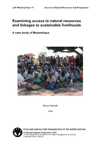 Examining Access to Natural Resources and Linkages to Sustainable Livelihoods