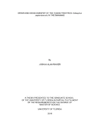 ORIGIN and BIOGEOGRAPHY of the CUBAN TREEFROG Osteopilus Septentrionalis in the BAHAMAS