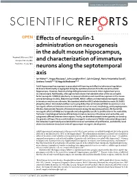 Effects of Neuregulin-1 Administration on Neurogenesis in the Adult Mouse