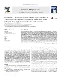 Formin Mdia1, a Downstream Molecule of FMNL1, Regulates Proﬁlin1 for Actin Assembly and Spindle Organization During Mouse Oocyte Meiosis☆