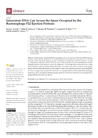 Intravirion DNA Can Access the Space Occupied by the Bacteriophage P22 Ejection Proteins