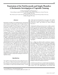 Penetration of the Polyflavonoids and Simple Phenolics