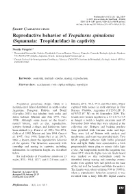 Reproductive Behavior of Tropidurus Spinulosus (Squamata: Tropiduridae) in Captivity