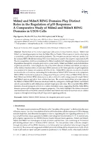Mdm2 and Mdmx RING Domains Play Distinct Roles in the Regulation of P53 Responses: a Comparative Study of Mdm2 and Mdmx RING Domains in U2OS Cells