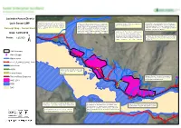 Concept Mapï - Sunart East from Local Seed Sources