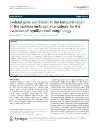 Skeletal Gene Expression in the Temporal Region Of