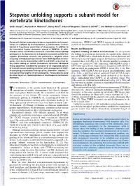 Stepwise Unfolding Supports a Subunit Model for Vertebrate Kinetochores