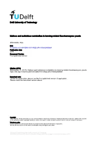 Delft University of Technology Maltose and Maltotriose Metabolism In