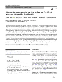 Filling Gaps in the Microsporidian Tree: Rdna Phylogeny of Chytridiopsis Typographi (Microsporidia: Chytridiopsida)
