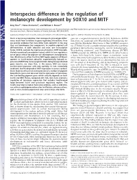 Interspecies Difference in the Regulation of Melanocyte Development by SOX10 and MITF