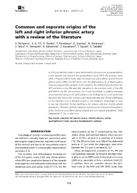 Common and Separate Origins of the Left and Right Inferior Phrenic Artery with a Review of the Literature H