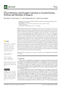 Dwarf Mistletoe and Drought Contribute to Growth Decline, Dieback and Mortality of Junipers