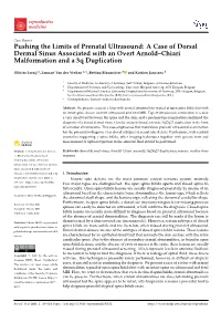 Pushing the Limits of Prenatal Ultrasound: a Case of Dorsal Dermal Sinus Associated with an Overt Arnold–Chiari Malformation and a 3Q Duplication