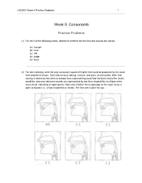 Week 5: Consonants