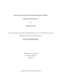 Biochemical Characterization of Homing Endonucleases Encoded By
