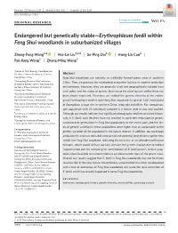 Endangered but Genetically Stable—Erythrophleum Fordii Within Feng Shui Woodlands in Suburbanized Villages