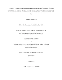 Sample Thesis Title with a Concise and Accurate