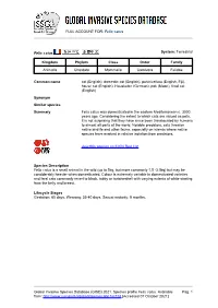 Full Account (PDF)