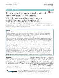 A High-Resolution Gene Expression Atlas of Epistasis Between Gene
