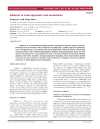 Adducin in Tumorigenesis and Metastasis