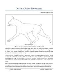 Correct Boxer Movement