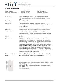 DF2589-MUL1 Antibody