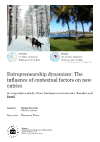 Entrepreneurship Dynamism: the Influence of Contextual Factors on New Entries