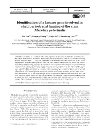 Full Text in Pdf Format