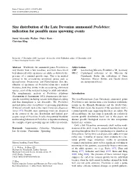 Size Distribution of the Late Devonian Ammonoid Prolobites: Indication for Possible Mass Spawning Events